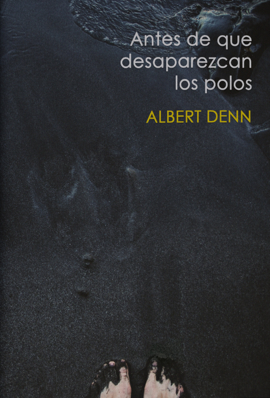 Antes de que desaparezcan los polos - Albert Denn